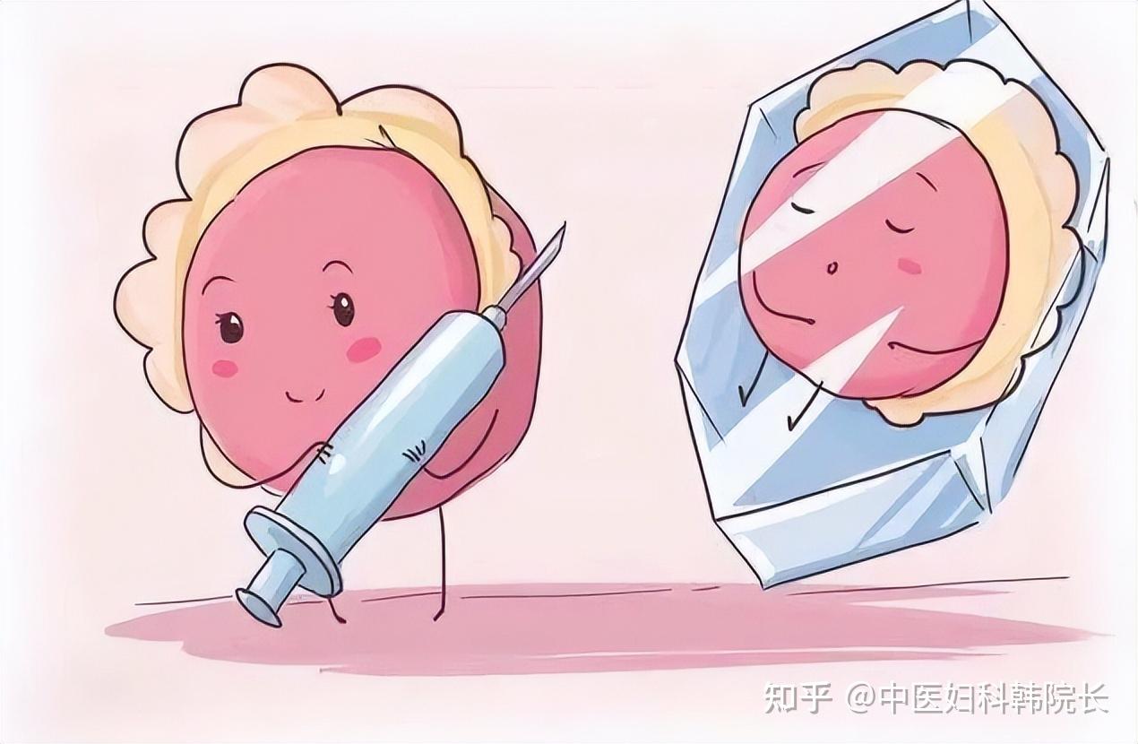 韩5月经常项目顺差创新高