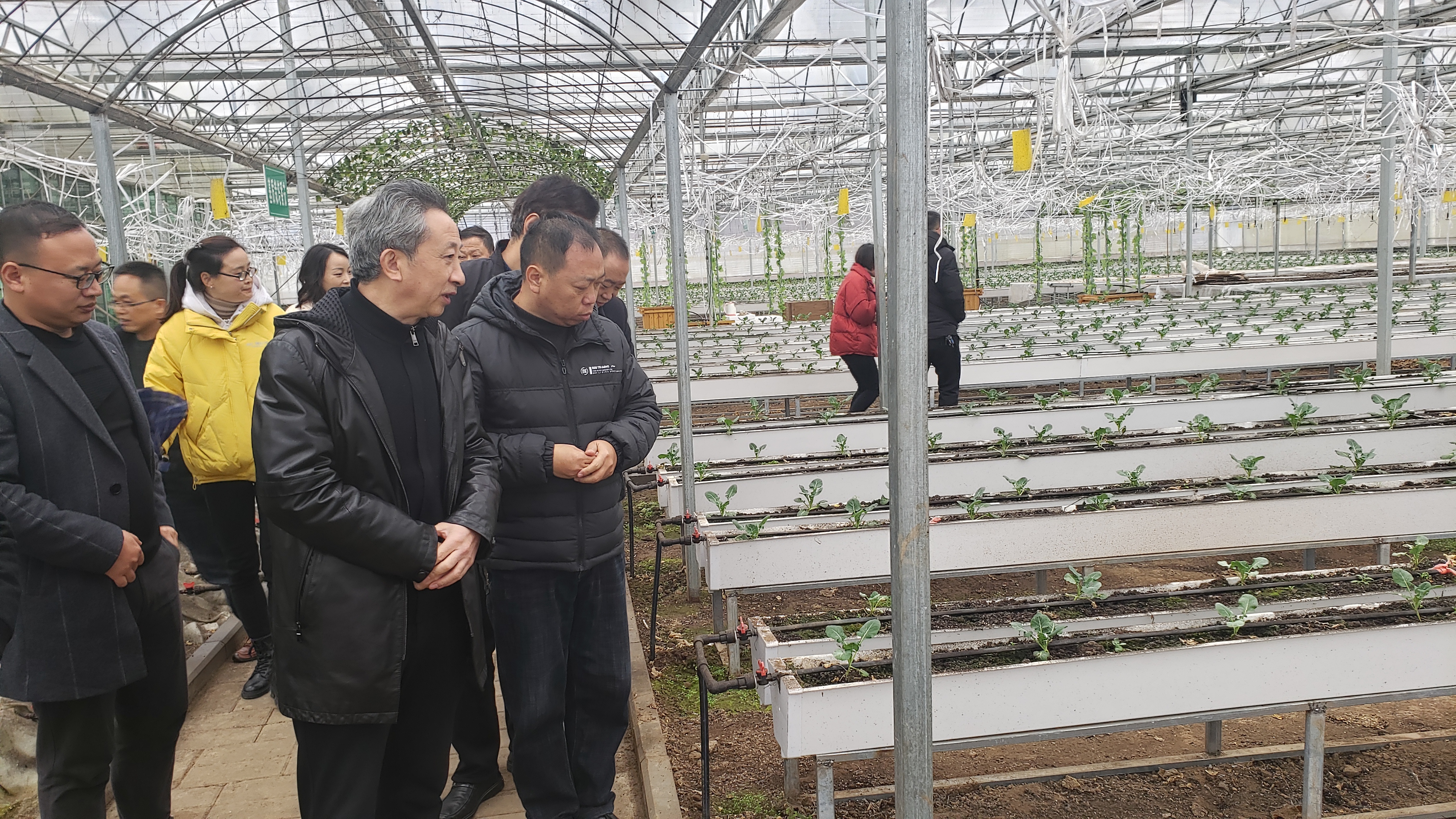 杨广元公参会见联合国粮食及农业组织驻巴基斯坦代表弗洛朗丝・霍勒