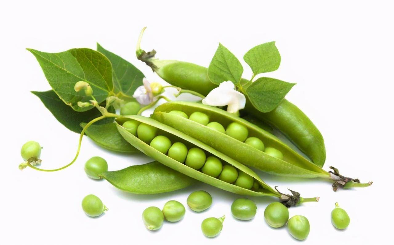 双塔食品：关注麦角硫因在功能性食品领域的应用与拓展