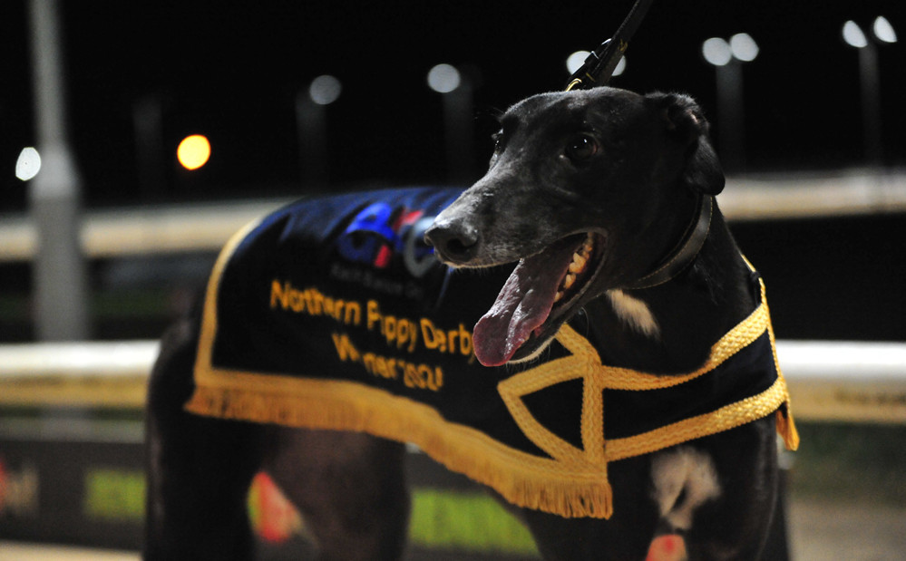 科威尔:获得政府补助约498万元