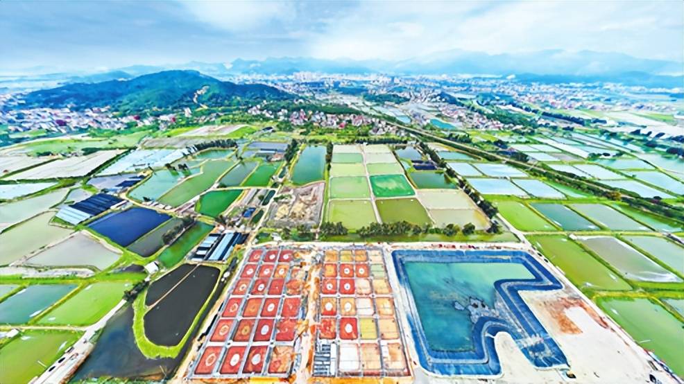 神驰机电：规模效应与全产业链布局优势