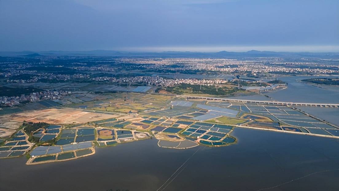 神驰机电：规模效应与全产业链布局优势