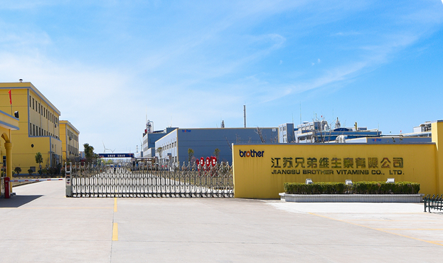 兄弟科技：维生素B1价格上涨对公司上半年业绩带来积极影响