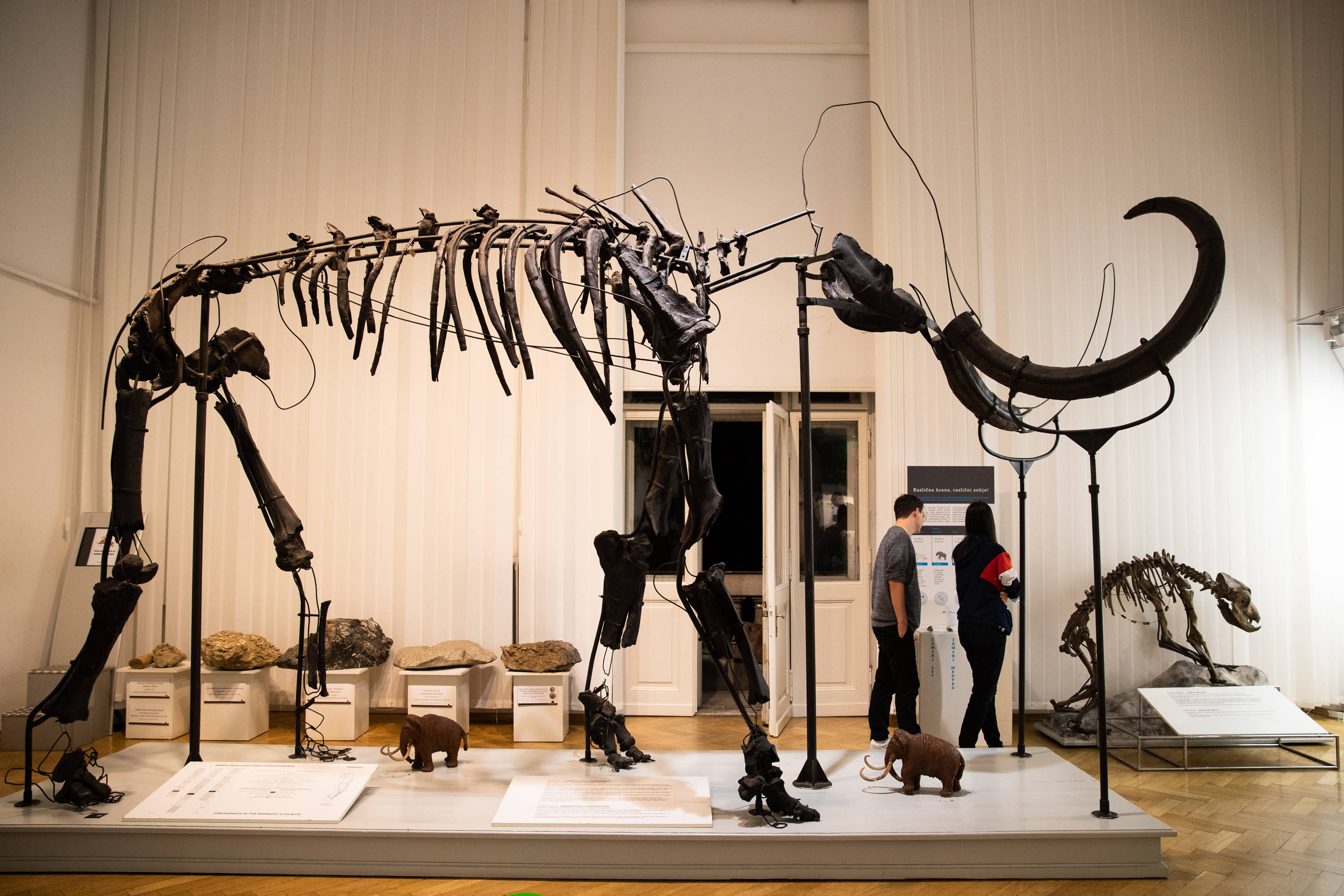 斯洛文尼亚投资署代署长巴拉日奇获正式任命