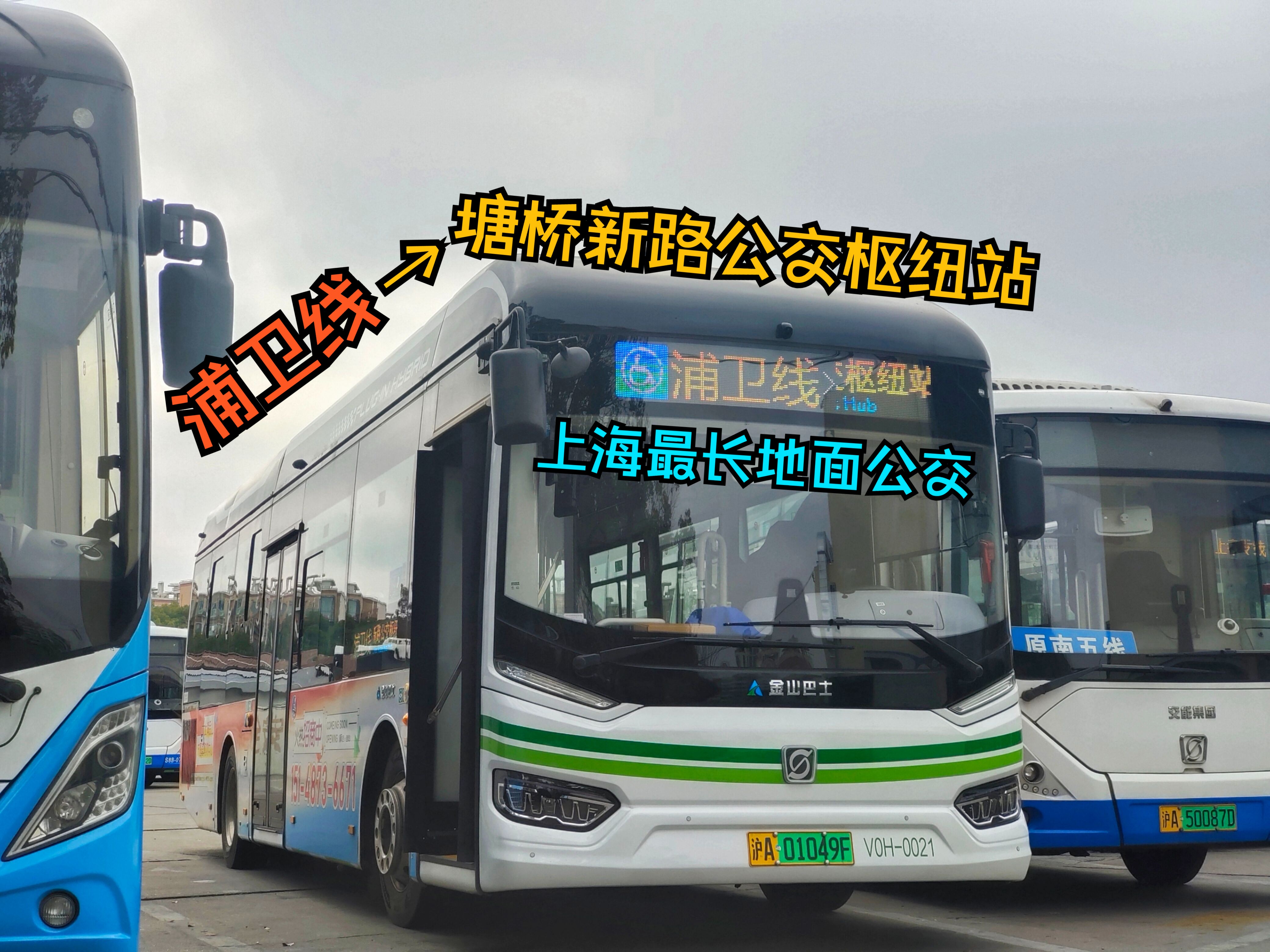 上海将用三年修复57.18公里岸线