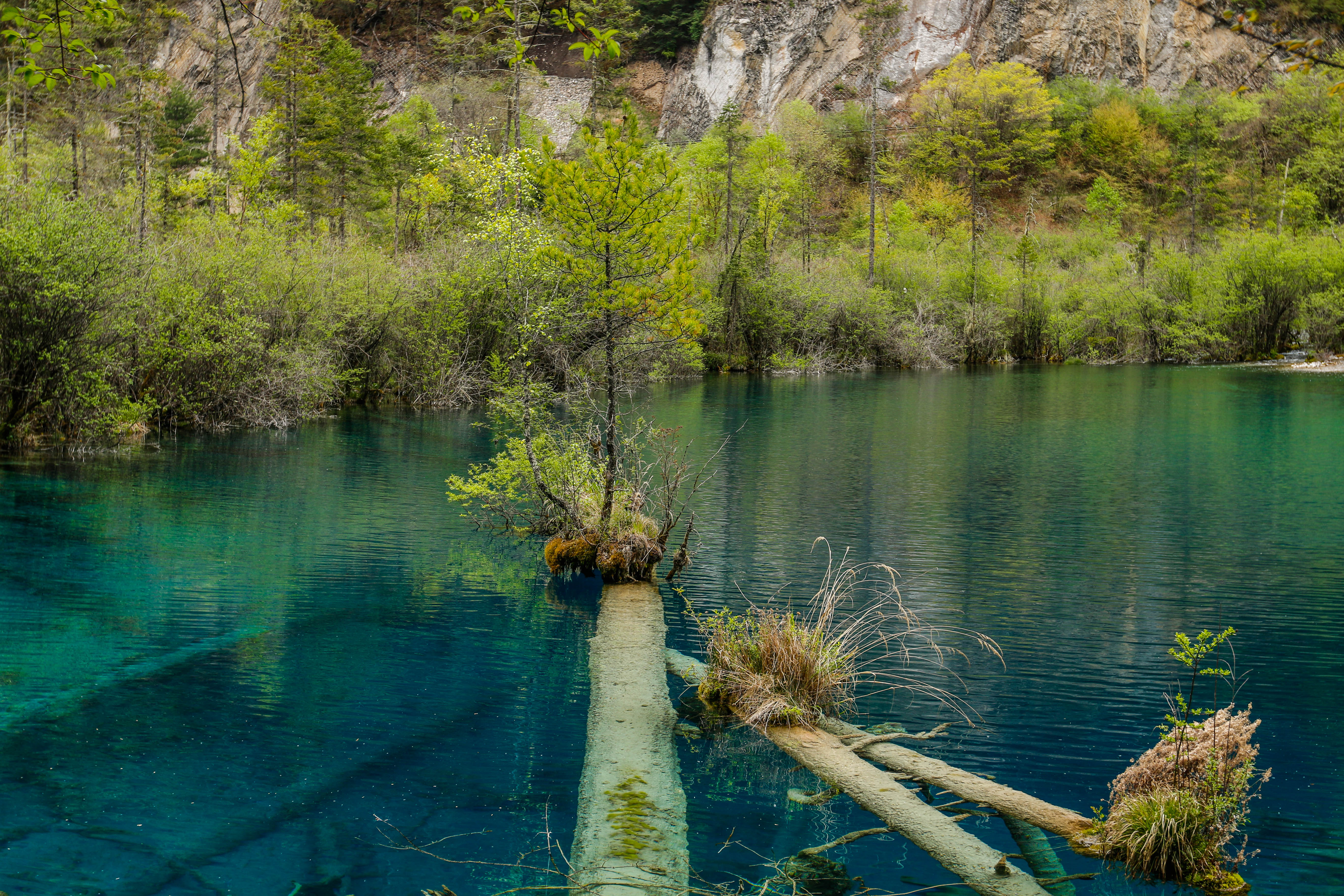 四川九寨沟景区旅游火爆 连续4天共16.4万张门票售罄