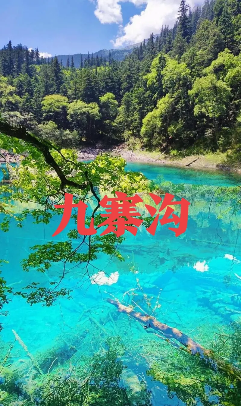 四川九寨沟景区旅游火爆 连续4天共16.4万张门票售罄