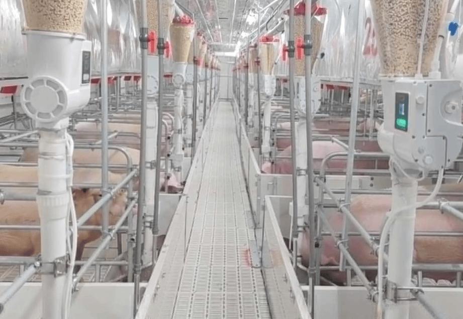 牧原股份：7月销售商品猪收入116.39亿元 同比降10.41%