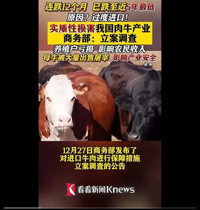 商务部:延长对进口牛肉保障措施调查期限