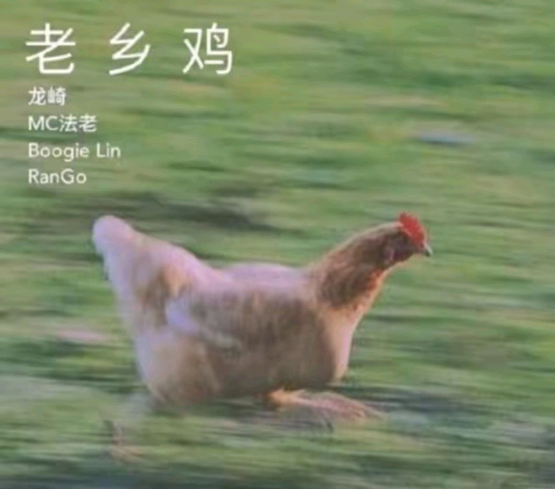 老乡鸡港股冲刺：30亿项目缺钱，超8成门店困在华东，社保欠缴风险仍在