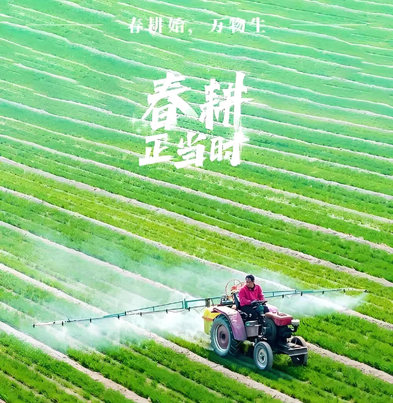 气候变了，中国农民重新学习种地