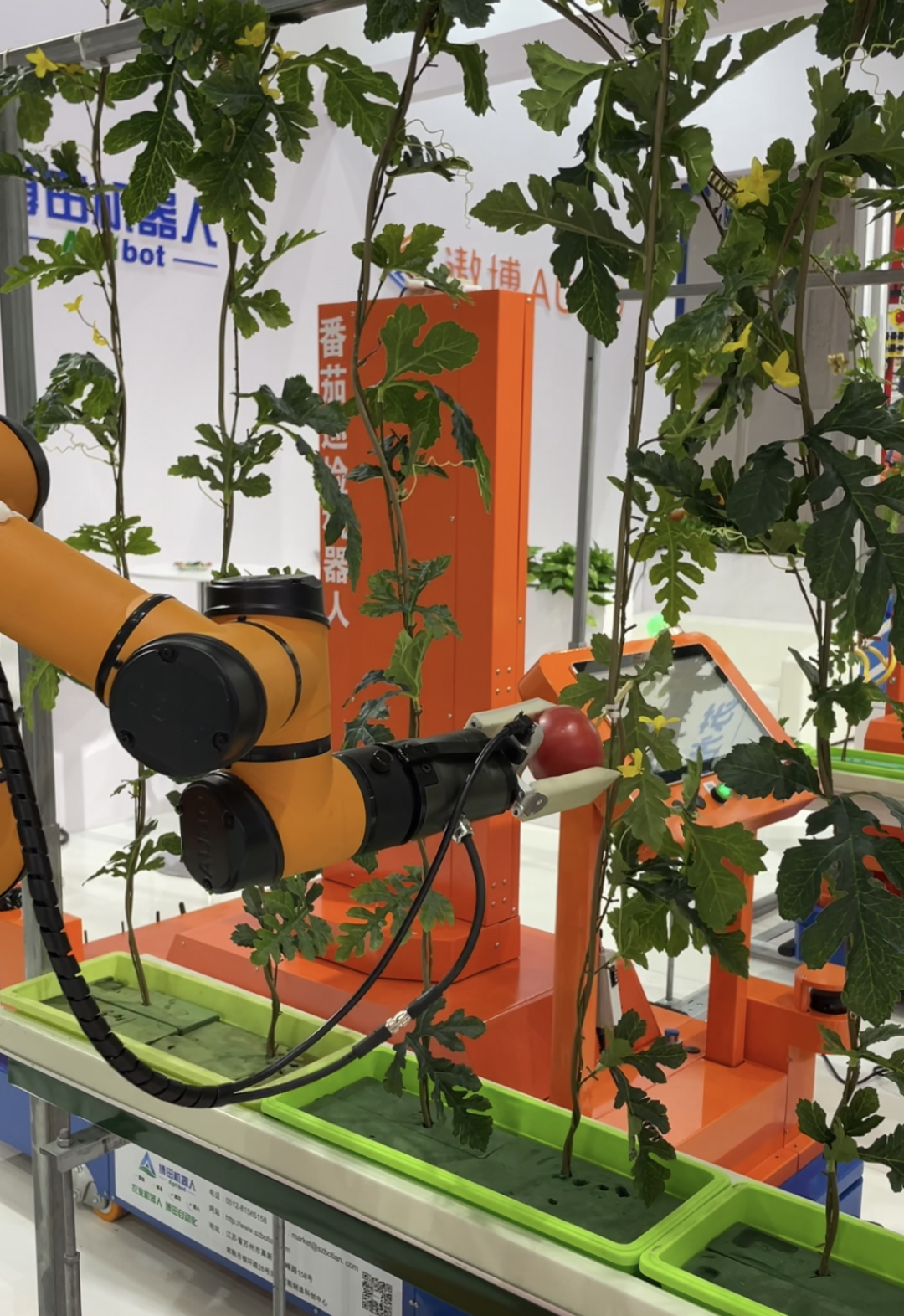 北京首家机器人主题餐厅来了！记者实探“色香味”