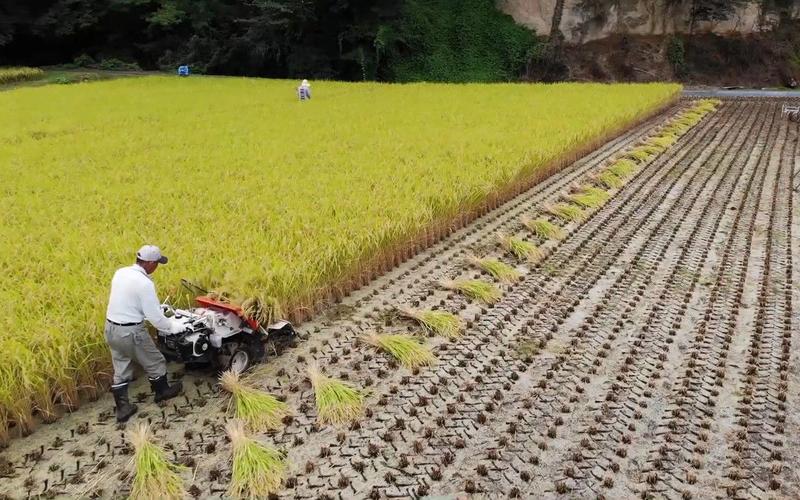 万达信息成交额创2025年3月11日以来新高