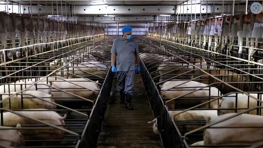 奥浦迈：公司在欧盟国家暂未设立子公司