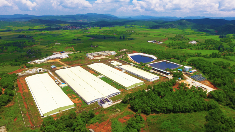 神农集团披露9笔对外担保，被担保公司8家