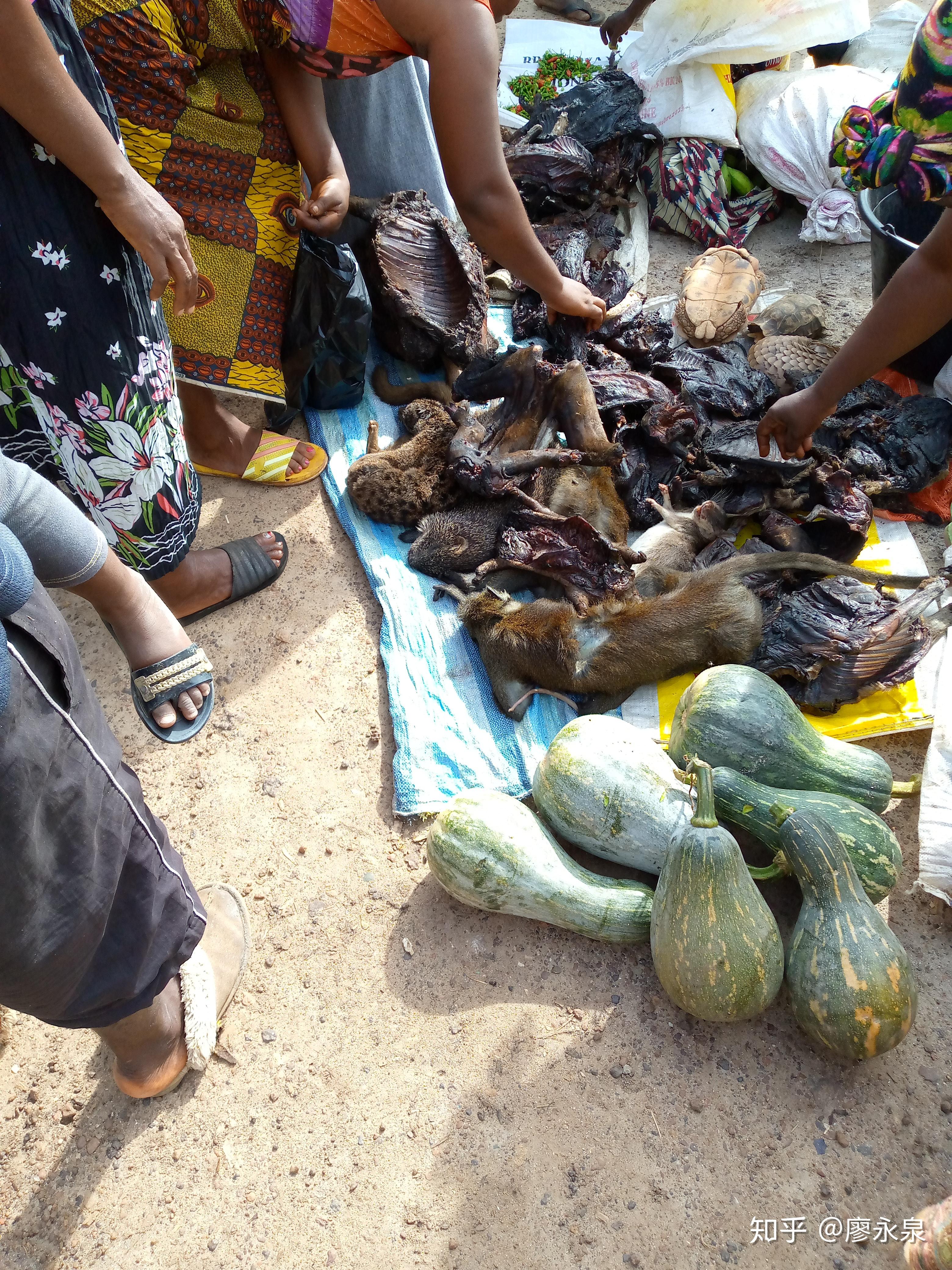 利比里亚推行新版国家地契，以标准化改革遏制土地欺诈与冲突