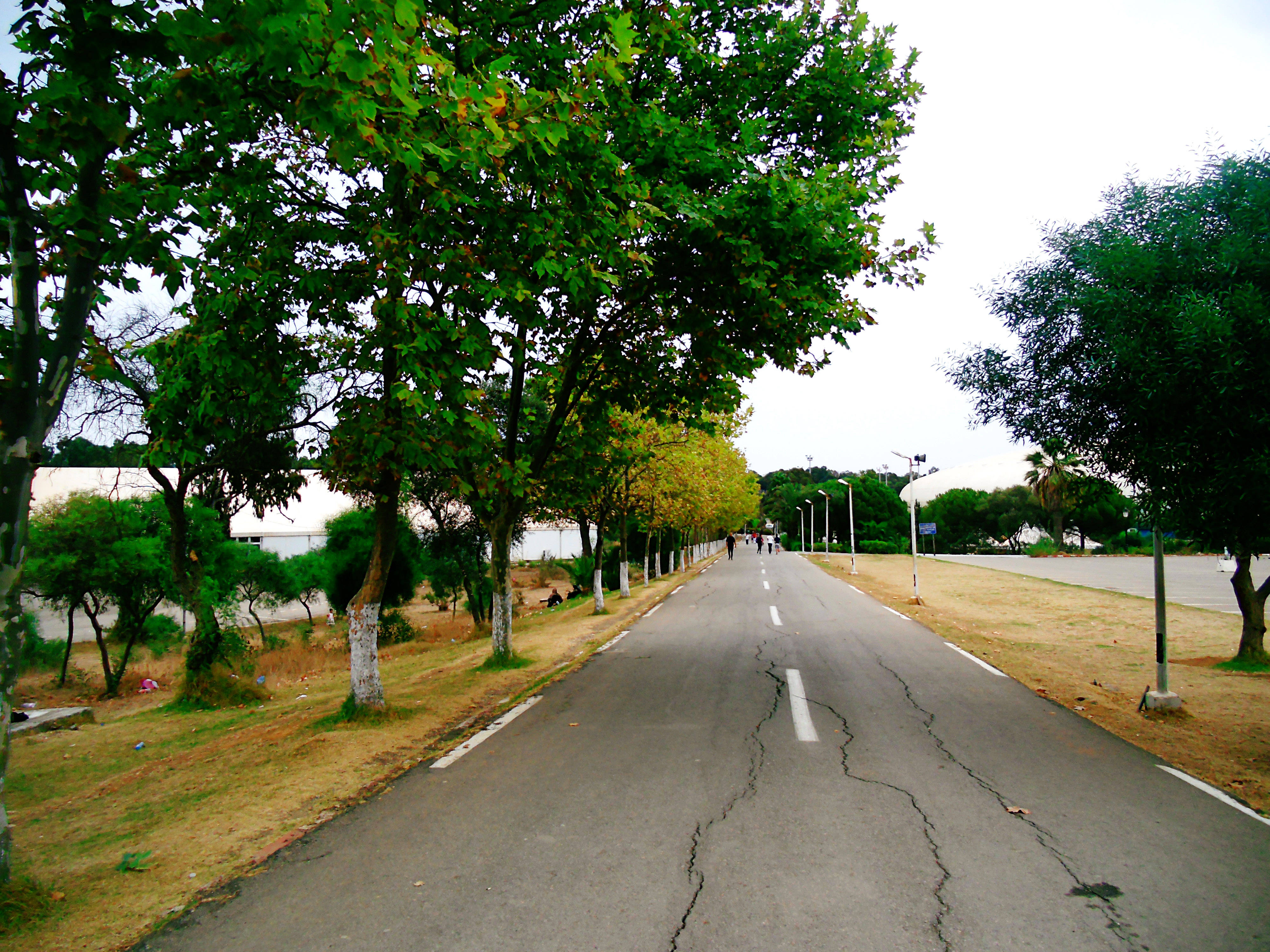 阿尔及利亚推进布格祖勒国际机场选址进程