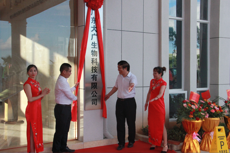 广农糖业:土地证办理事项由相关糖企负责