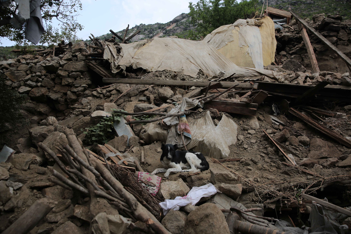 南桑威奇群岛地区发生5.9级地震