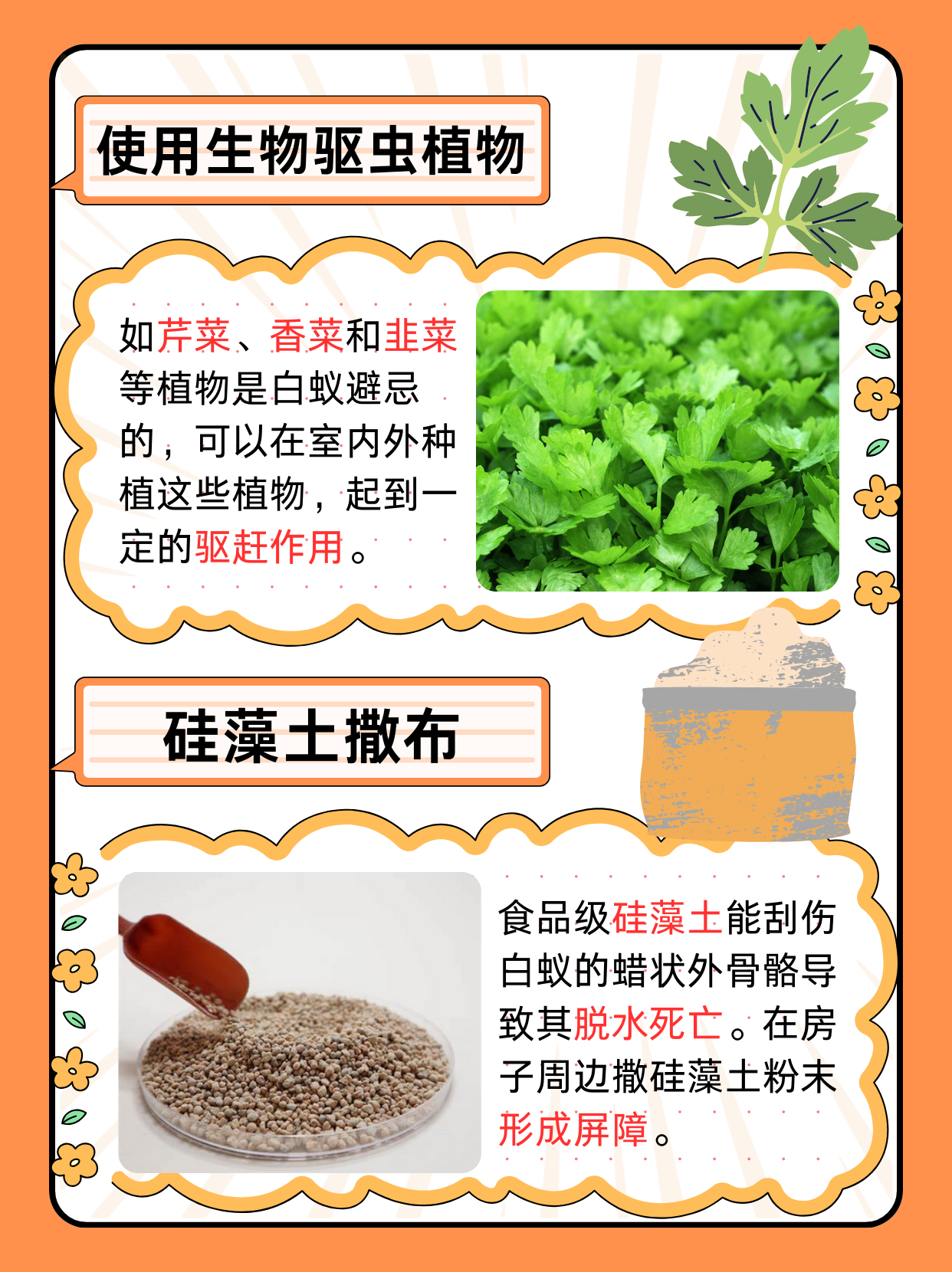 我国科研人员发现同巢蚂蚁互相攻击的原因