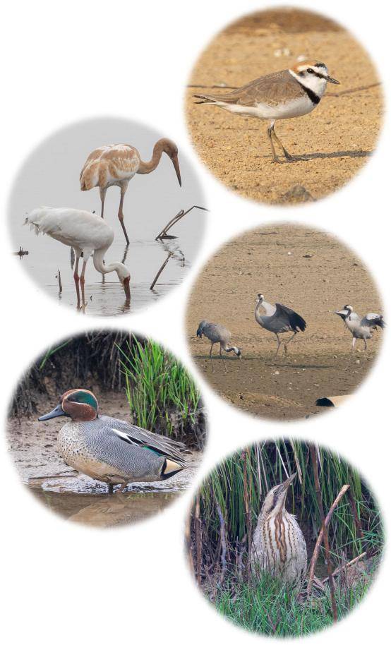 鄱阳湖租赁“中小微企业融资支持+革命老区”ABS成功发行