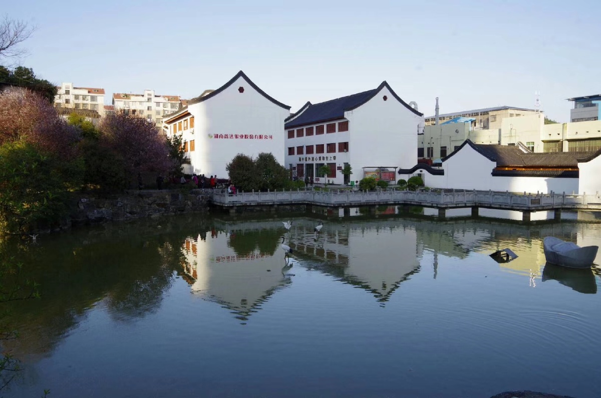 湖南永兴地标“天下银楼”首次法拍流产 创始人曹生文：因竞买条件中有“硬约束”