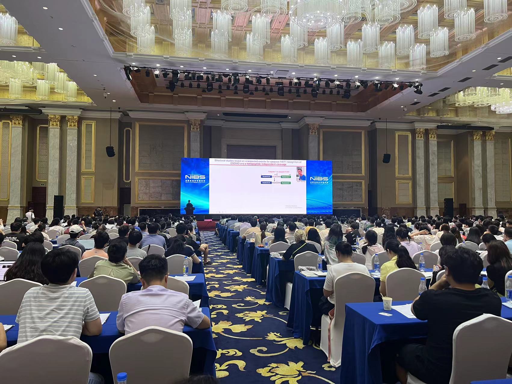 对话北生所所长王晓东：创新没什么难的，创业要交学费