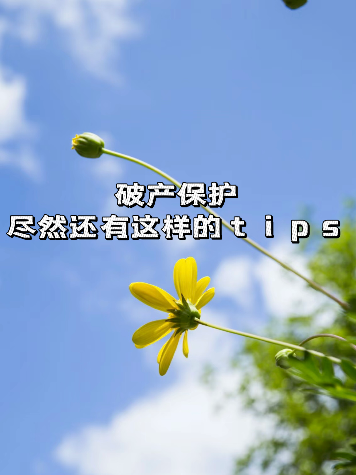 嘉麟杰：目前，公司无重组计划