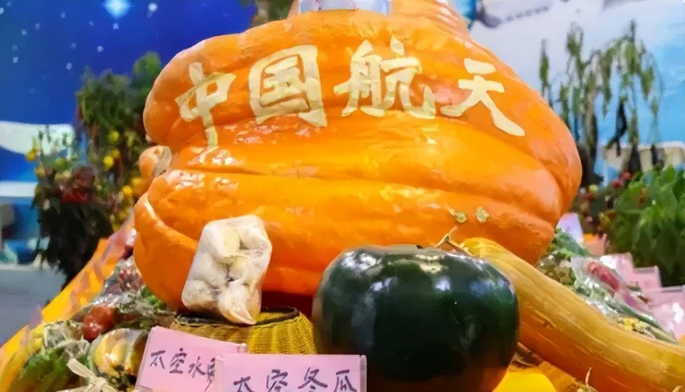 技术牵引需求升温 太空计算迎发展加速期