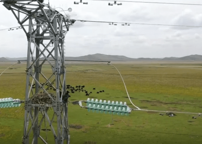 蒙罗维亚频繁停电引发展担忧，官方归因于区域电网技术故障