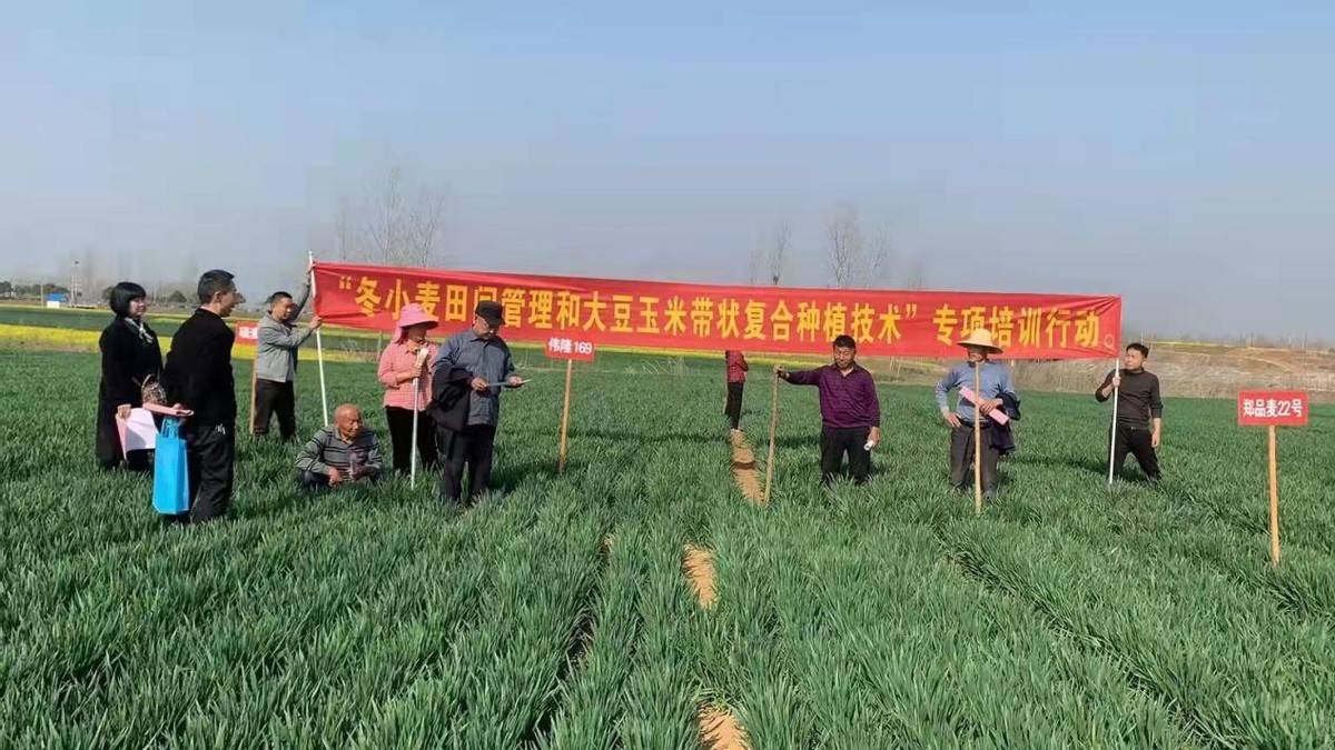 科技“壮苗” 田管有“智”更有“质”