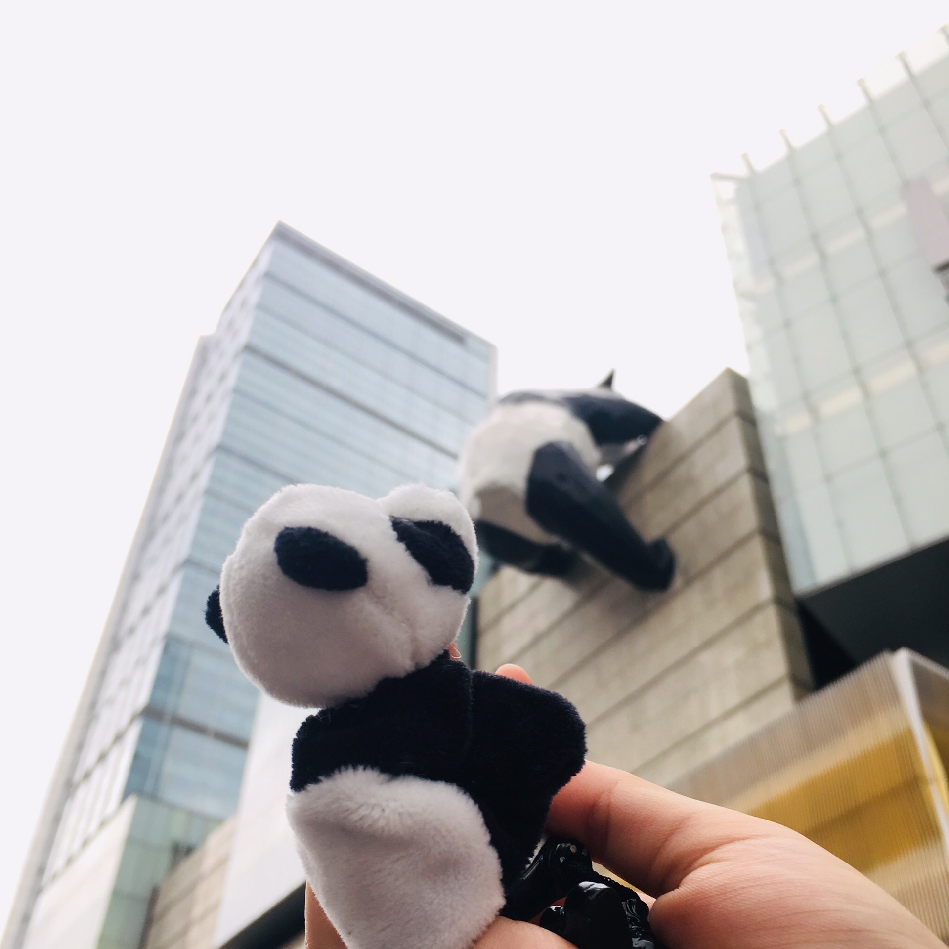 南京熊猫公布国际专利申请：“基于蜂窝网格单元的低空航路风险地图构建方法与系统”