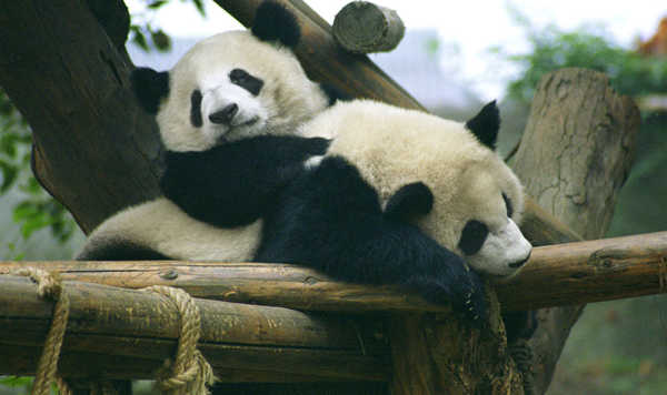 南京熊猫公布国际专利申请：“基于蜂窝网格单元的低空航路风险地图构建方法与系统”