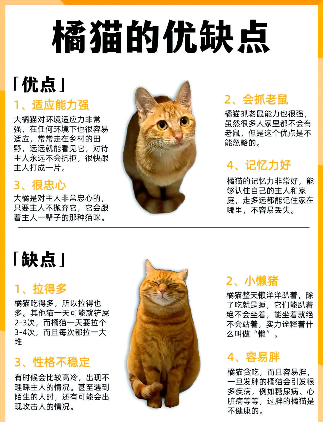 科普｜薛定谔猫又“变胖”了