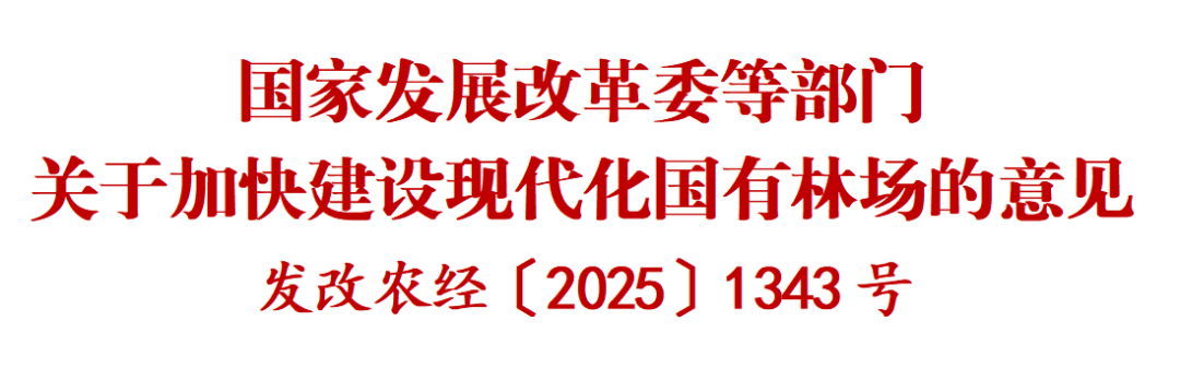 国家发改委等部门发布《关于加快招标投标领域人工智能推广应用的实施意见》