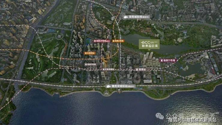 新余国科：截止到2026年2月10日，公司股东持有人数（已合并）为28,901人