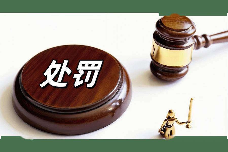 因协助发行人“自融”债务融资工具 同量基金被交易商协会予以严重警告