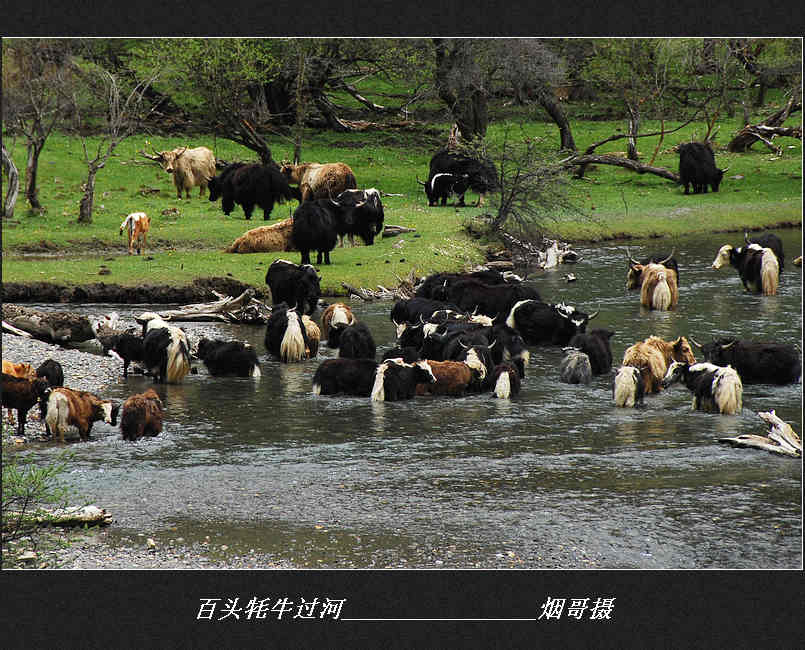 罗 牛 山:公司主营业务包括生猪养殖及屠宰加工、冷链业务、教育服务和房地产开发业务