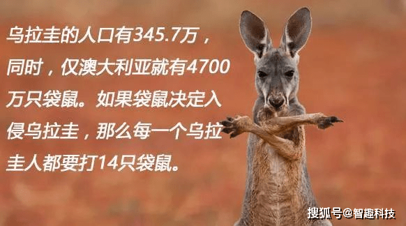 联合国预测2026年拉美经济增长2.3%，乌拉圭增长2.1%
