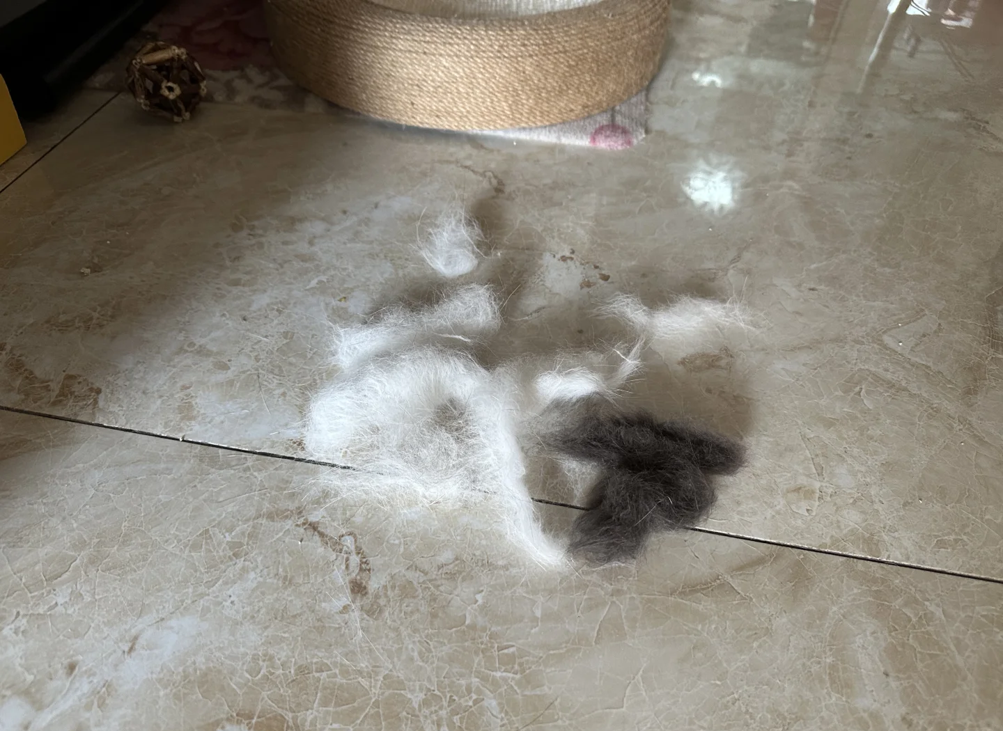 美的集团获得发明专利授权：“风机组件及具有其的吸尘器”