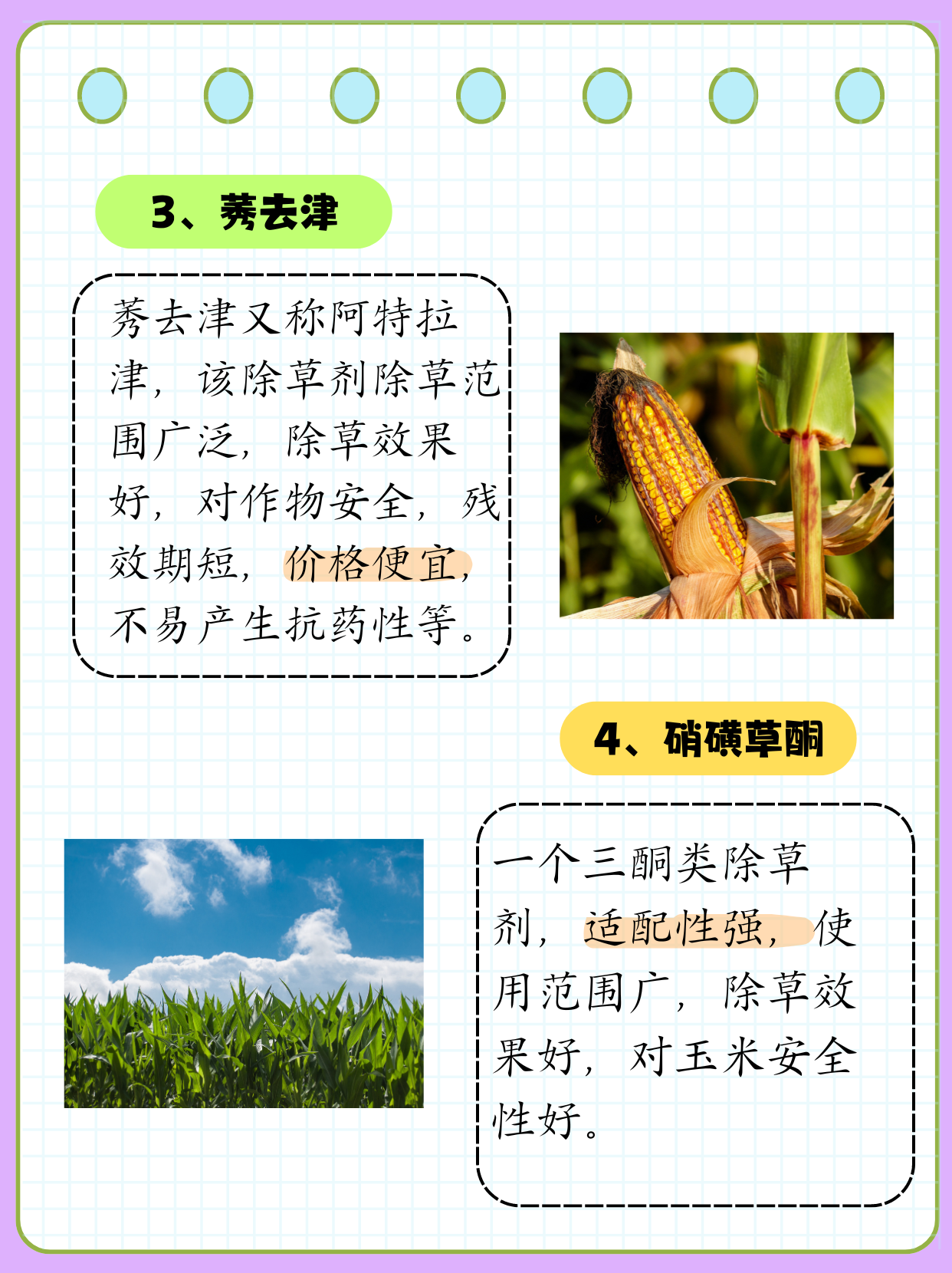 岳阳兴长获得发明专利授权：“用于苯酚烷基化反应的铁基复合催化剂及其制备方法和应用”