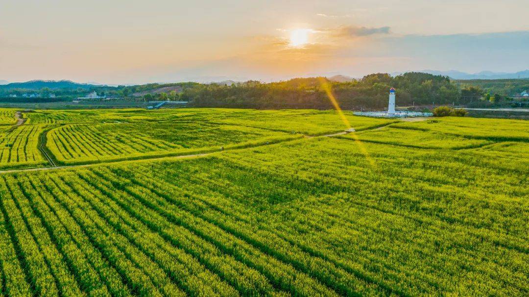 预见金马｜招商基金钟文岳：以最佳客户体验为引领，在高质量发展新征程上稳步前行