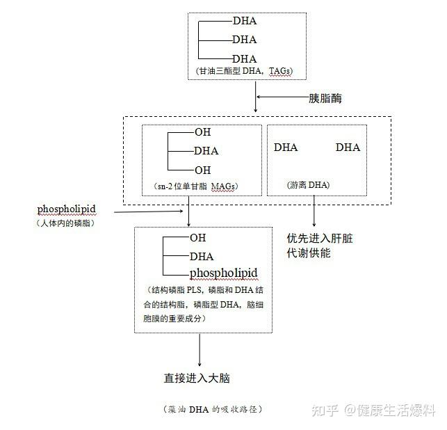 嘉必优获得发明专利授权：“一种检测DHA调配油中Sn-2位DHA含量的方法”