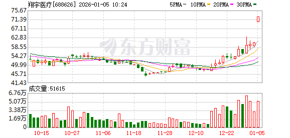2月13日科创板高换手率股票(附股)