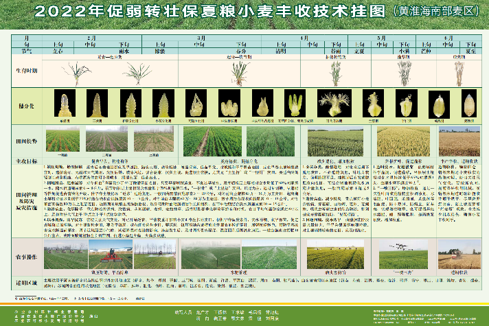 中央财政统筹安排12.5亿元 积极支持冬小麦促弱转壮