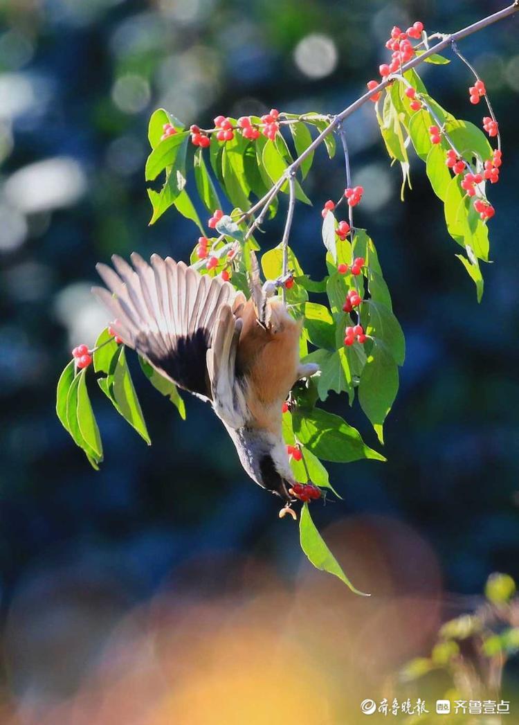 立方风控鸟·晚报（2月24日）