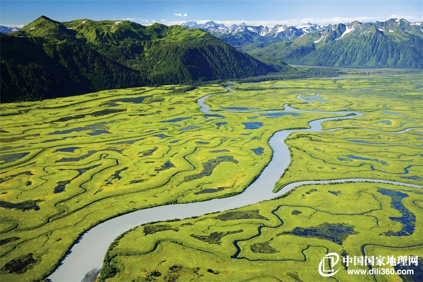 科士达：截至2月13日，公司股东人数约4.1万户