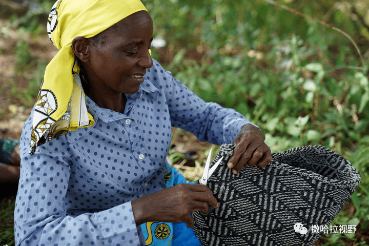 标普评级称肯尼亚债务可能导致先令贬值