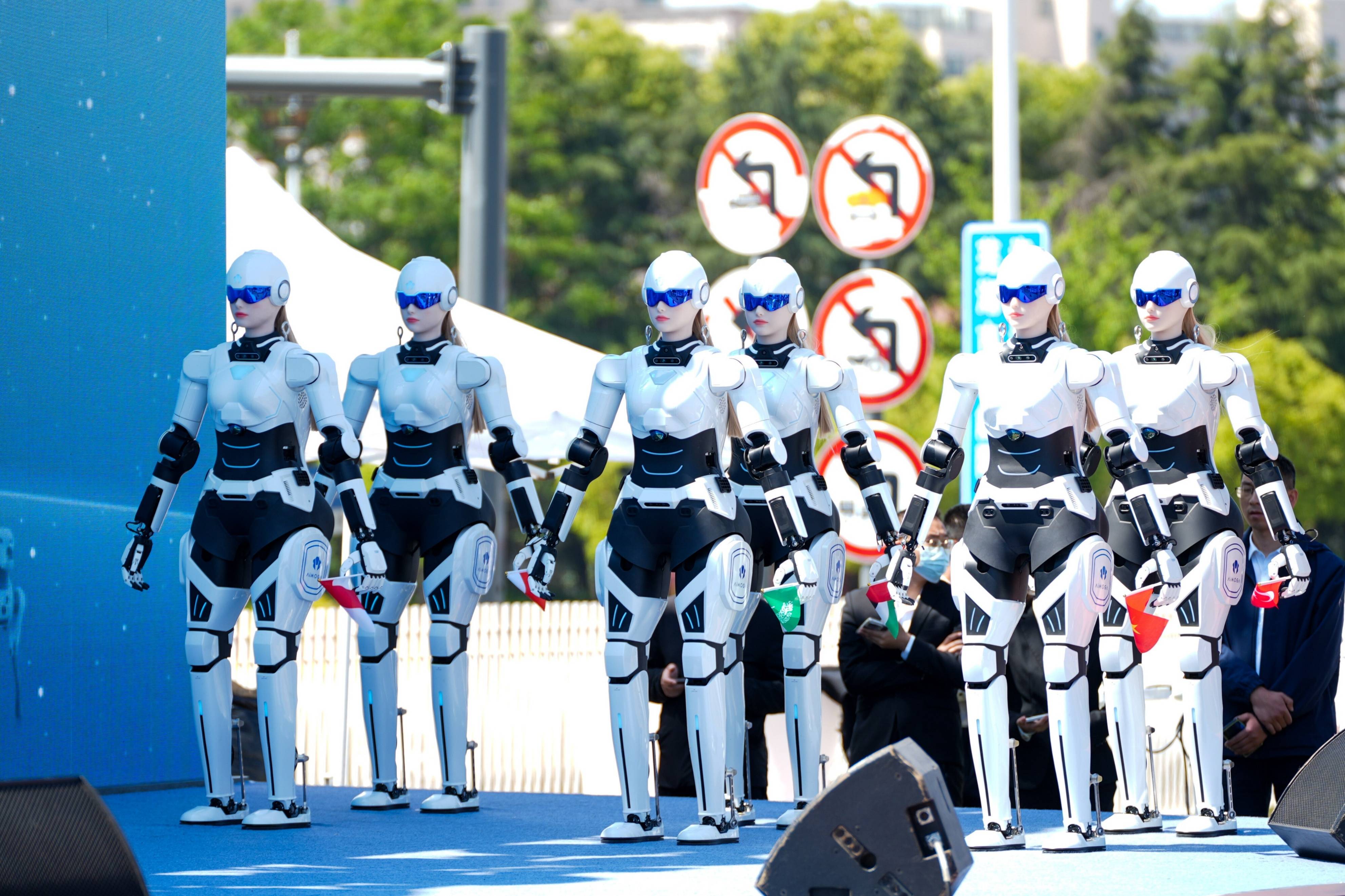 首个人形机器人与具身智能标准体系发布