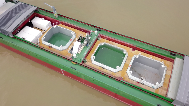 中集集团获得实用新型专利授权：“一种船舶物联网数据采集装置”